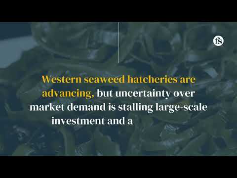 Why hatchery is destiny in seaweed farming - The short of it
