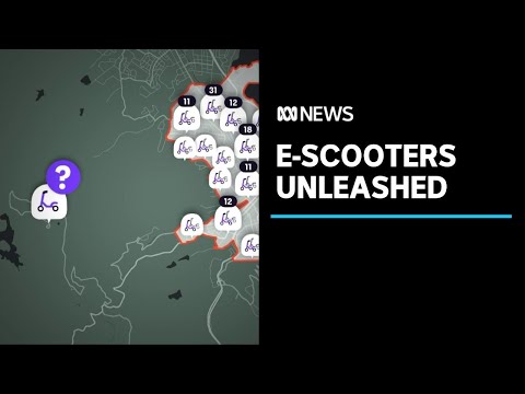 Electric scooters ending up in unusual places, after Hobart and Launceston launch | ABC News