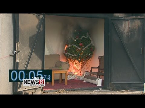 Seconds after spark: Fury of Christmas tree fires on display