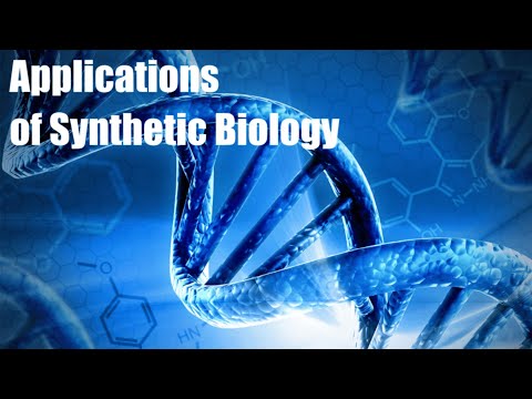 Unlocking Our Future: The Radical Potential of Synthetic Biology