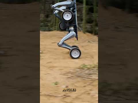 QUADRUPED ROBOT DOMINATES ALL TERRAIN
