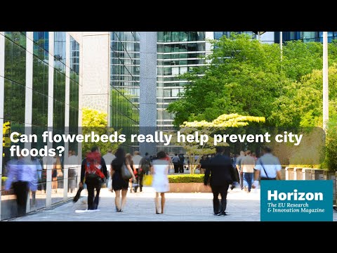 Reclaiming urban spaces: how cities are welcoming nature back