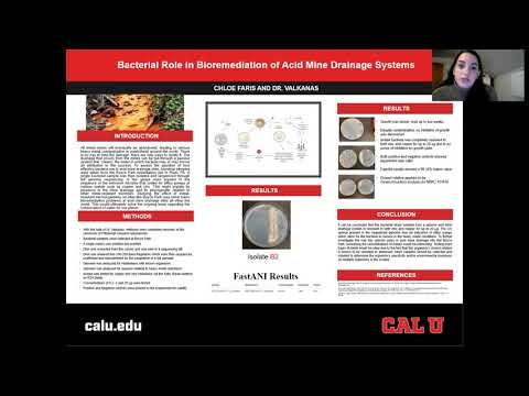 Metal-Resistant Microbial Bioremediation of Acid Mine Drainage – Chloe Faris