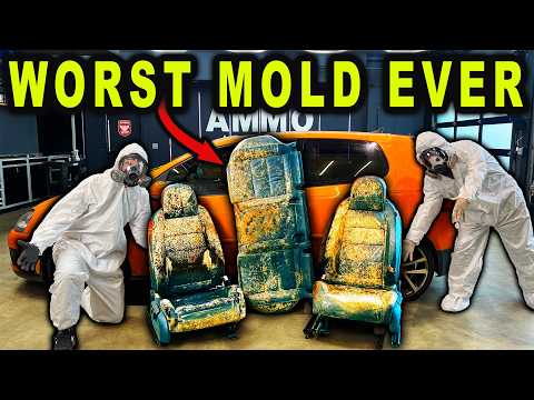 Detailing and Cleaning the MOLDIEST BIOHAZARD Car You&#039;ve Ever Seen?