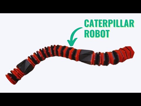 What Can This Caterpillar Robot Do?