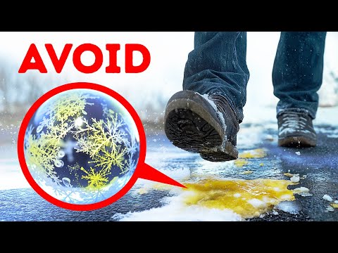 Yellow Snow Isn’t What You Think… It’s Worse!