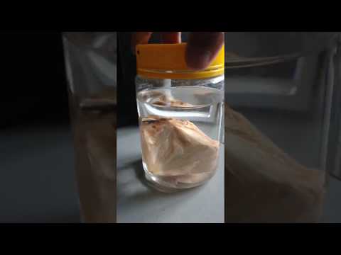 Zeolite timelapse