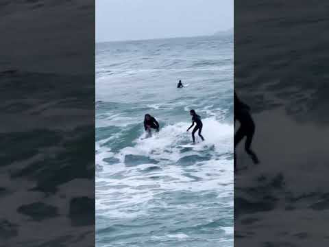 LOCALISM. Surfers FIGHT at wannabe Snapper Rocks.