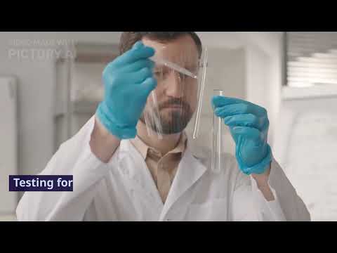 Researchers investigate non-precious metal replacement for platinum in hydrogen fuel cells