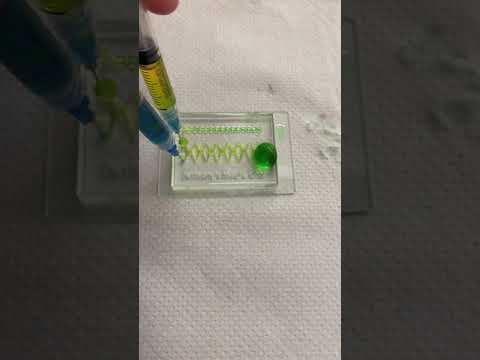Microfluidic Chip