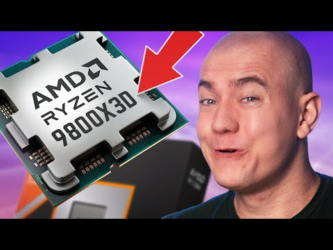 AMD Defied Expectations