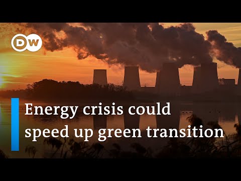 Fossil fuel use likely to peak in 2025, says International Energy Agency | DW News