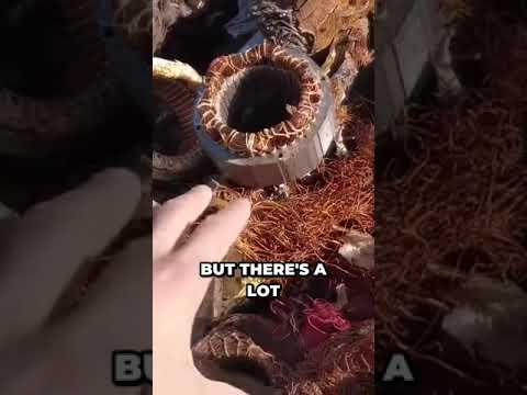 Electric Motors: The Hidden Gold Mine