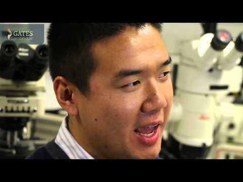 Stan Wang: the future of regenerative medicine