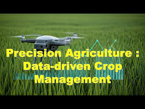 Precision Agriculture : Revolutionizing Crop Management with Data