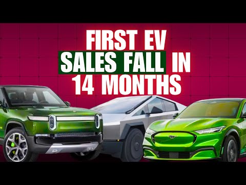 America’s EV Boom Suddenly Ends After 14 Months Of Growth