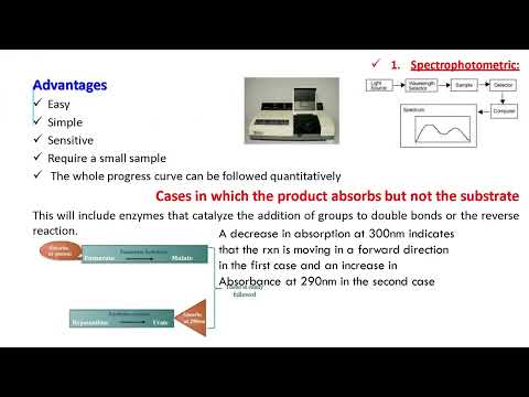 Enzyme Assay (2024-2025)
