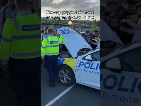 Unexpected guest at NZ Car Meet