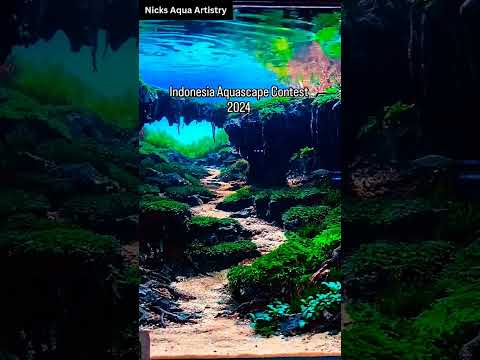 Indonesia Aquascape Contest 2024 – Stunning Designs Revealed!