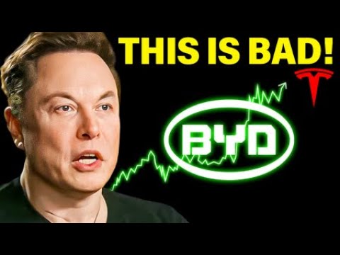 HUGE Blow For Tesla | BYD Mach Profit Margins (almost)